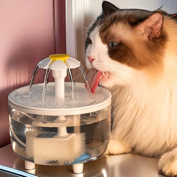1.5L Transparent Automatic Circulation Cat Water Fountain USB Powered New in Box - Picture 2 of 5